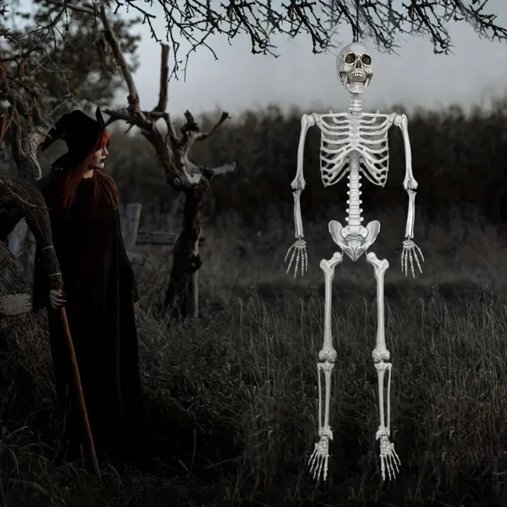 Halloween Skeleton Decoration and Prop Life-Size Poseable with Articulated Joints - Image 3