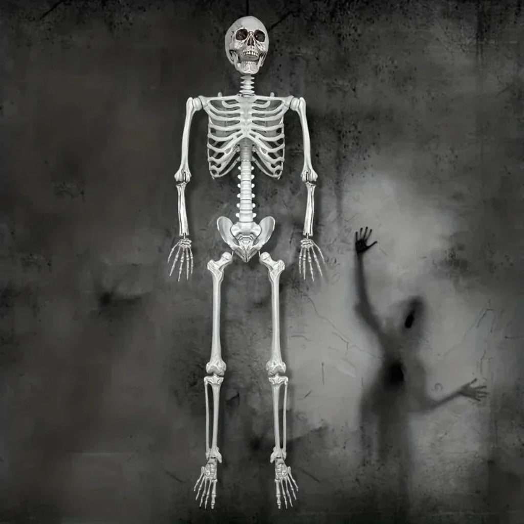 Halloween Skeleton Decoration and Prop Life-Size Poseable with Articulated Joints - Image 4