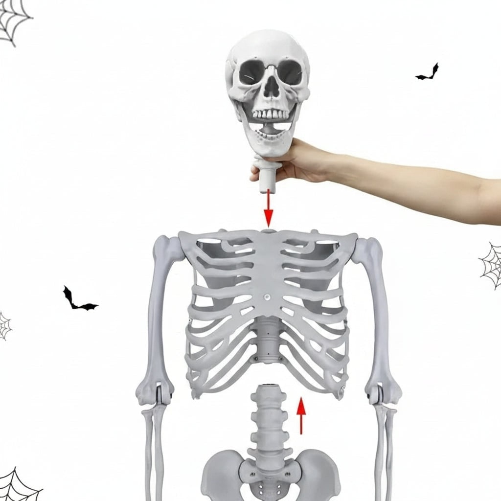 Halloween Skeleton Decoration and Prop Life-Size Poseable with Articulated Joints - Image 5