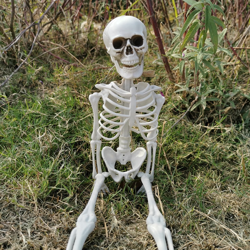 Halloween Skeleton Decoration and Prop Posable Plastic with Articulated Joints - Image 1