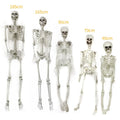 Halloween Skeleton Decoration and Prop Posable Plastic with Articulated Joints - Image 3