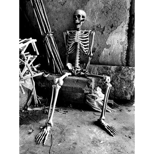 Halloween Skeleton Decoration and Prop Posable Plastic with Articulated Joints - Image 4