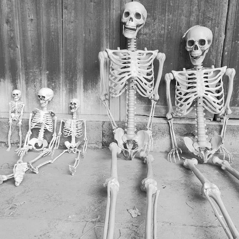 Halloween Skeleton Decoration and Prop Posable Plastic with Articulated Joints - Image 5