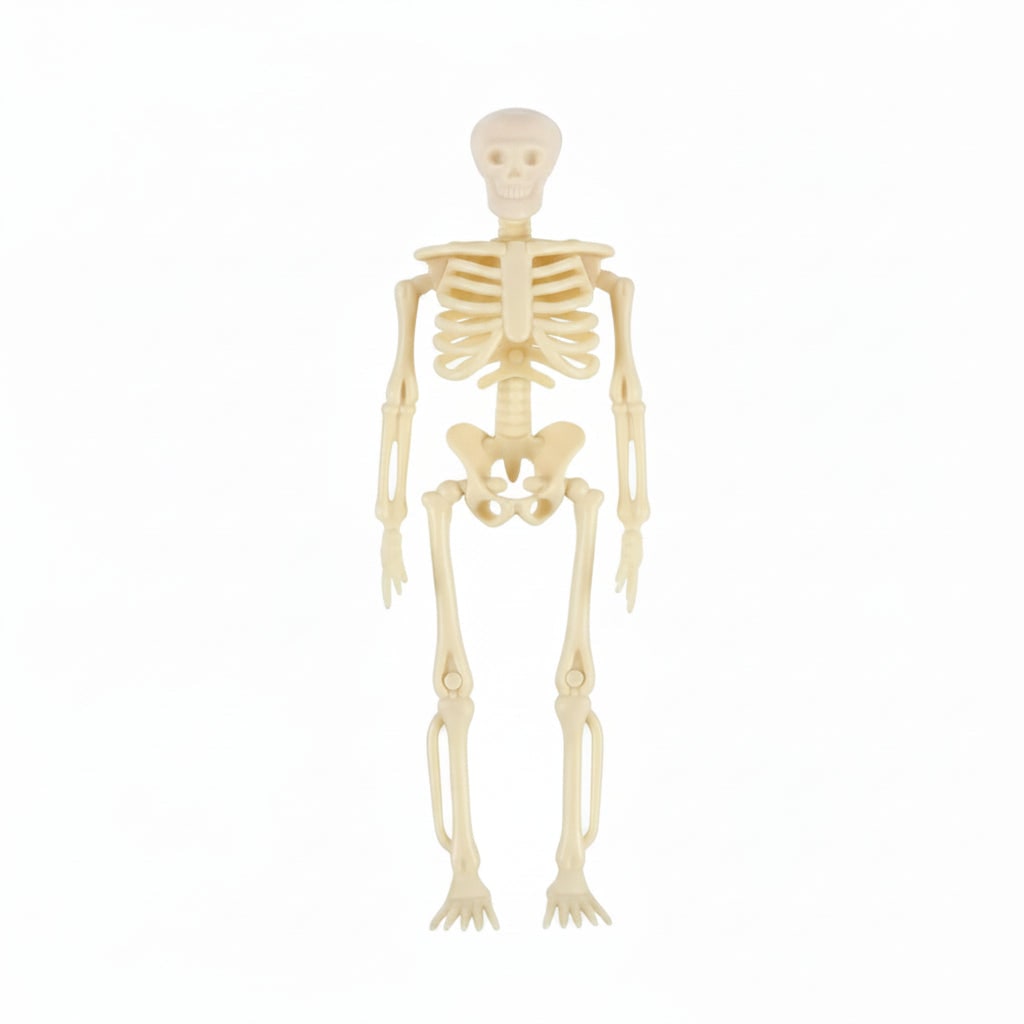 Halloween Skeleton Decoration Mini Plastic Figurines with Posable Joints for Party and Haunted House - Image 4