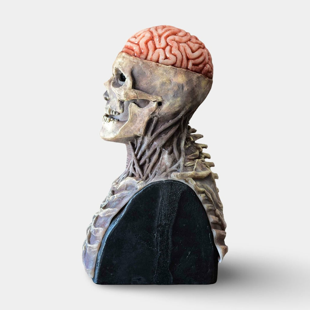 Halloween Skull Mask with Exposed Brain and Chest Plate Horror Skeleton Costume Day Of The Dead - Image 3