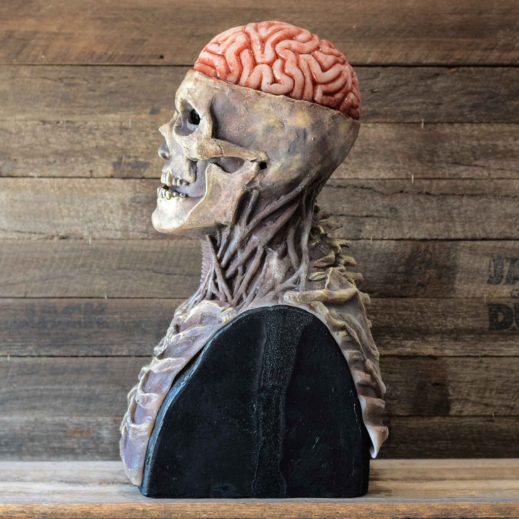 Halloween Skull Skeleton Mask with Exposed Brain and Chest Bib Full Head Latex Creepy - Image 3