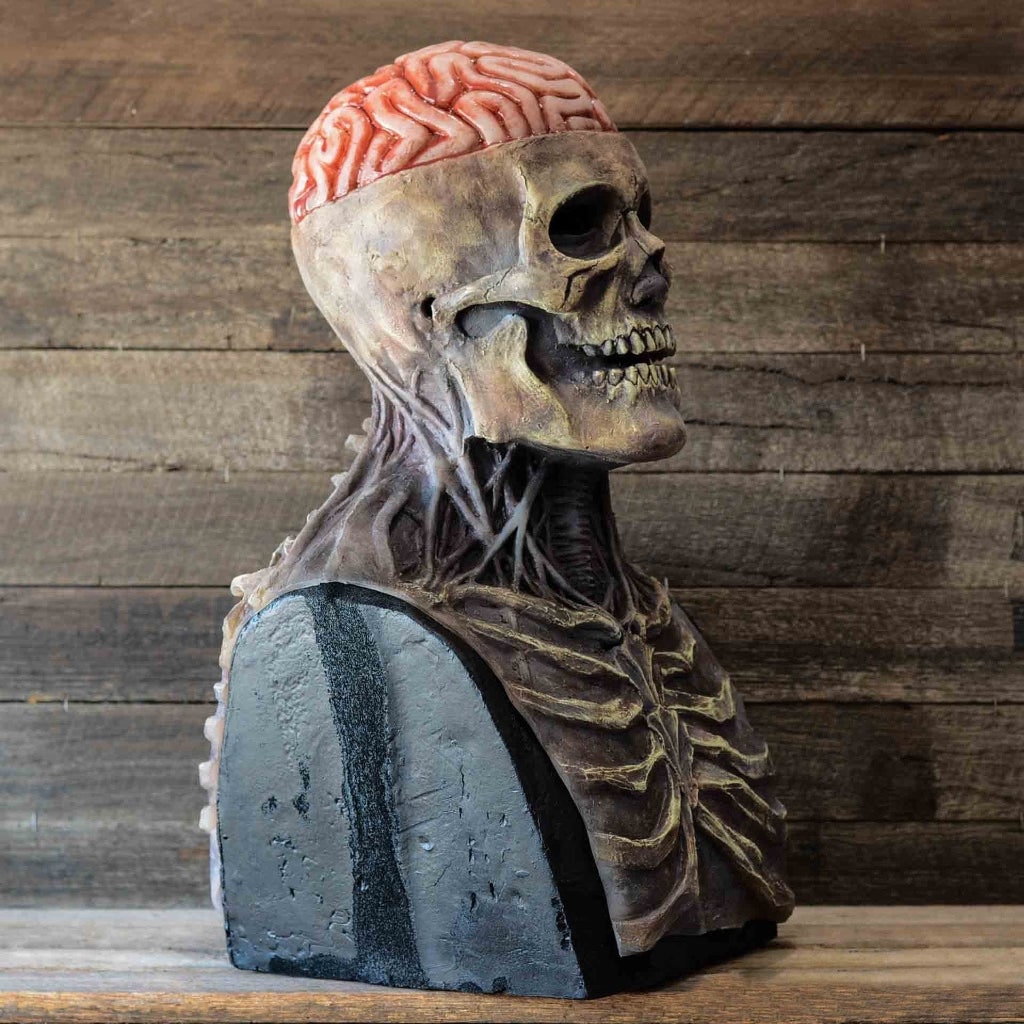 Halloween Skull Skeleton Mask with Exposed Brain and Chest Bib Full Head Latex Creepy - Image 4