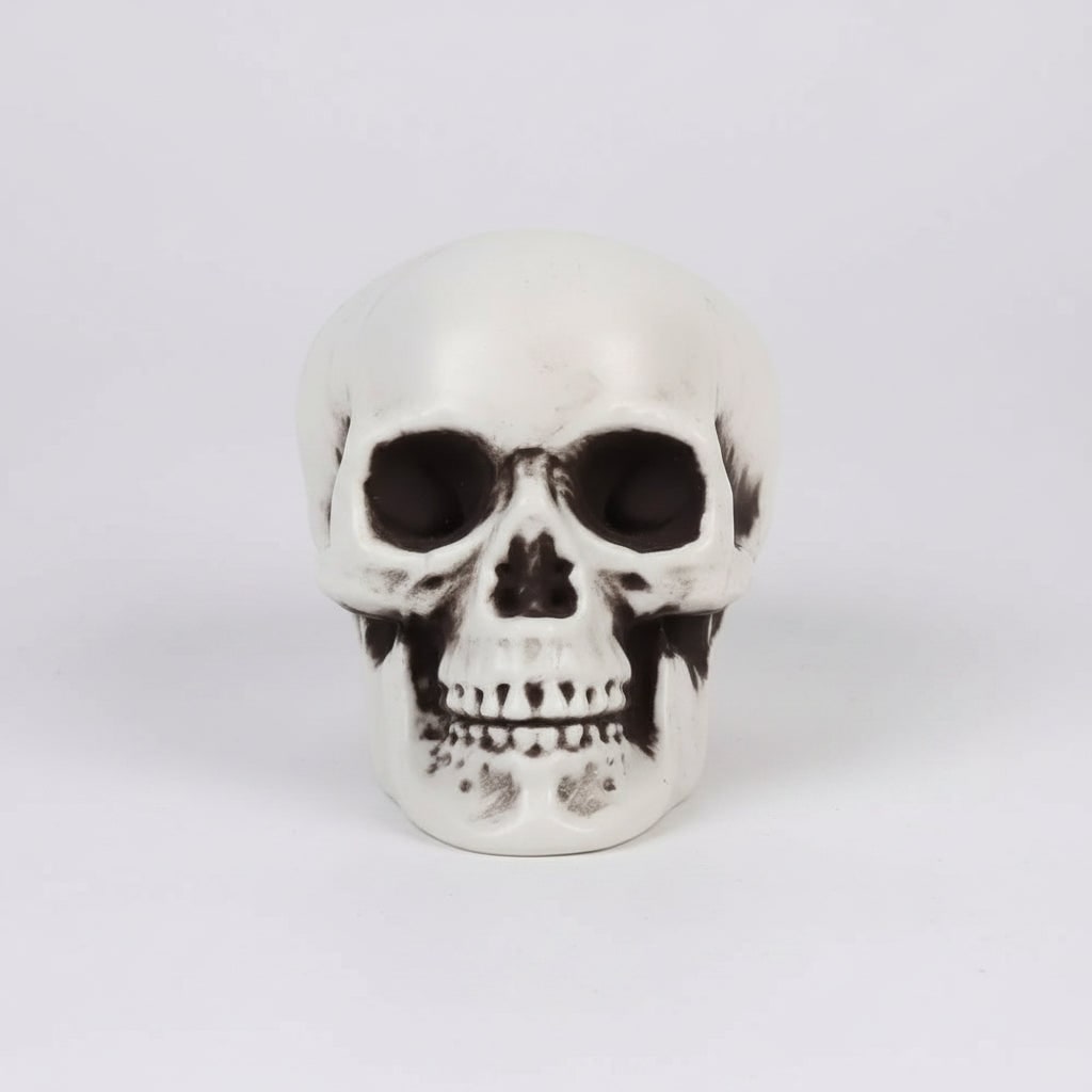 Halloween Sugar Skull Decorations with Mini Plastic for Party and Haunted House Decor - Image 2