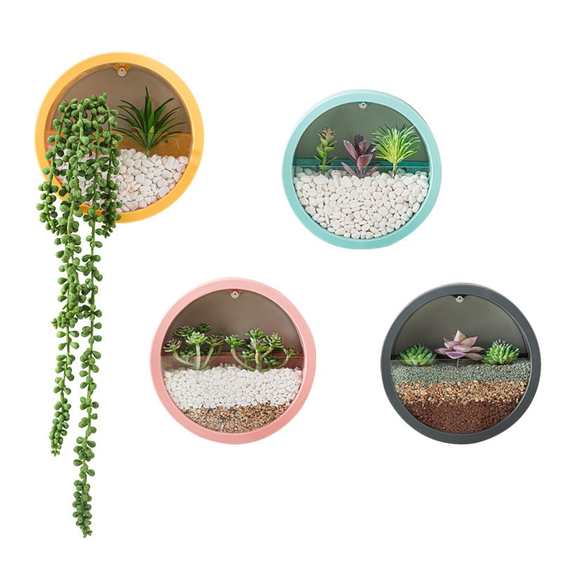 Hanging Wall Planter with Clear Acrylic Front Panel for Succulents Modern Indoor Vertical Plant - Image 1