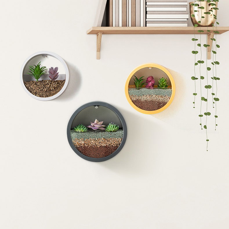 Hanging Wall Planter with Clear Acrylic Front Panel for Succulents Modern Indoor Vertical Plant - Image 15