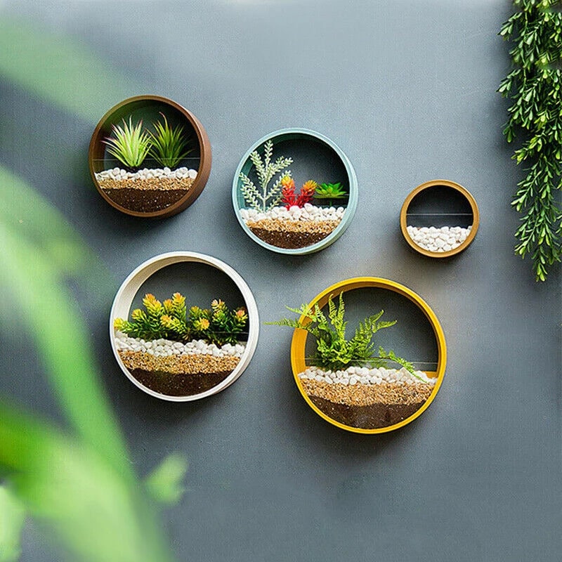 Hanging Wall Planter with Clear Acrylic Front Panel for Succulents Modern Indoor Vertical Plant - Image 5