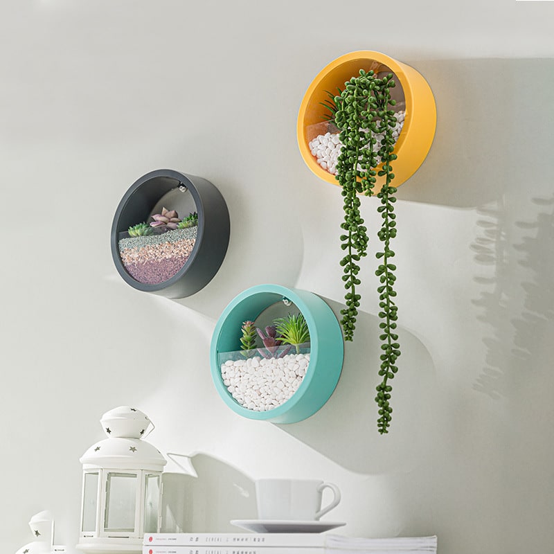 Hanging Wall Planter with Clear Acrylic Front Panel for Succulents Modern Indoor Vertical Plant - Image 8
