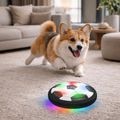 Hover Soccer Ball Size 5 with LED Lights Foam Bumper and Black White Match Design for Dogs - Image 1