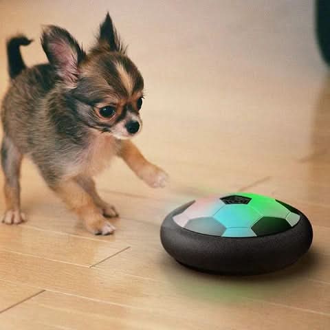 Hover Soccer Ball Size 5 with LED Lights Foam Bumper and Black White Match Design for Dogs - Image 5