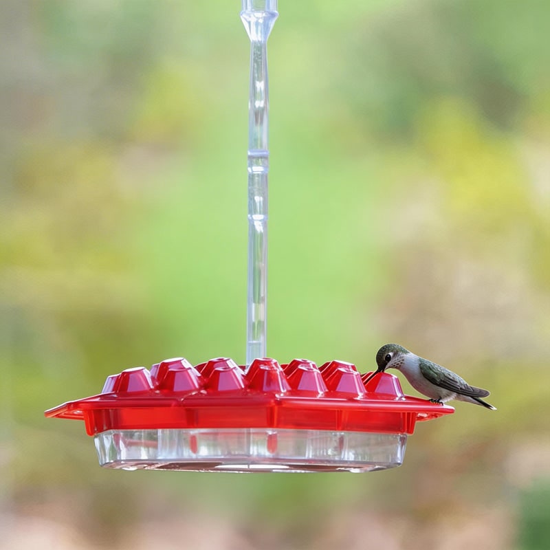 Hummingbird Feeder with Hexagonal Ports and Homemade Nectar Dish - Image 1