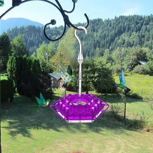Hummingbird Feeder with Hexagonal Ports and Homemade Nectar Dish - Image 3