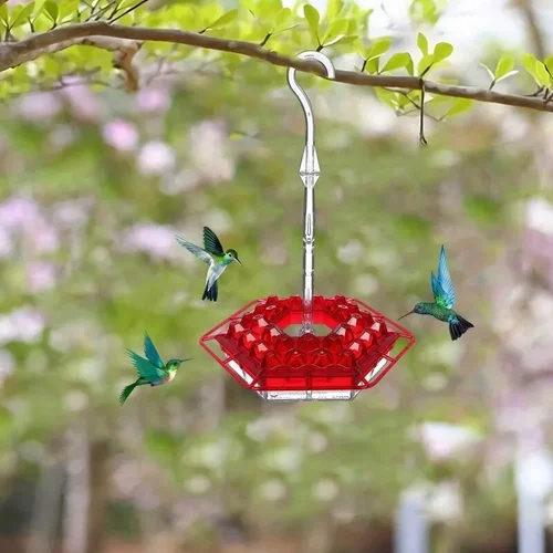 Hummingbird Feeder with Hexagonal Ports and Homemade Nectar Dish - Image 4