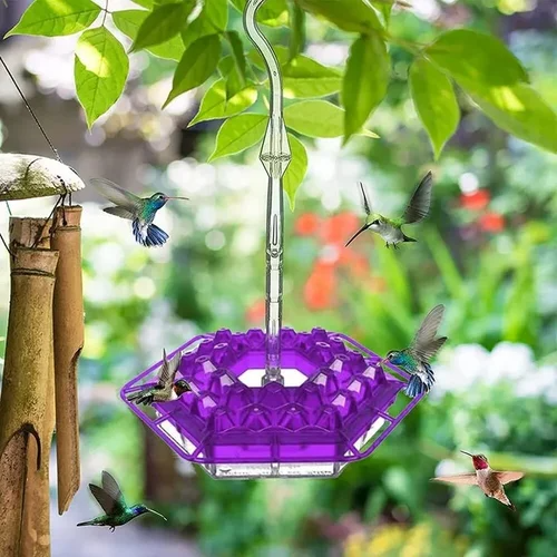 Hummingbird Feeder with Hexagonal Ports and Homemade Nectar Dish - Image 5