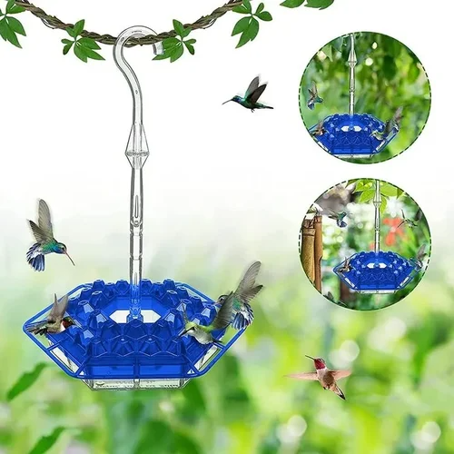 Hummingbird Feeder with Hexagonal Ports and Homemade Nectar Dish - Image 6