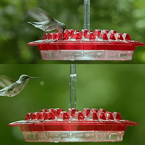 Hummingbird Feeder with Hexagonal Ports and Homemade Nectar Dish - Image 7