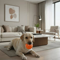 Interactive Dog Ball Toy with Motorized Rolling Motion and Textured Rubber Exterior - Image 1