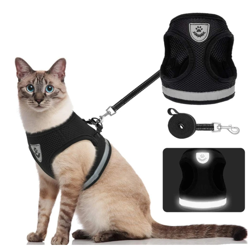 Cat Harness and Leash Set for Outdoor Adventures – Adjustable Comfortable Harness for Safe Walks and Training