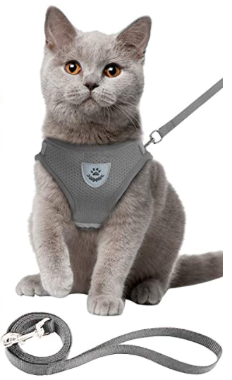 Cat Harness and Leash Set for Outdoor Adventures – Adjustable Comfortable Harness for Safe Walks and Training