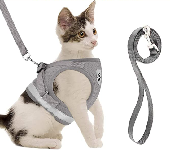 Cat Harness and Leash Set for Outdoor Adventures – Adjustable Comfortable Harness for Safe Walks and Training