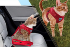 Cat Harness and Leash Set for Outdoor Adventures – Adjustable Comfortable Harness for Safe Walks and Training