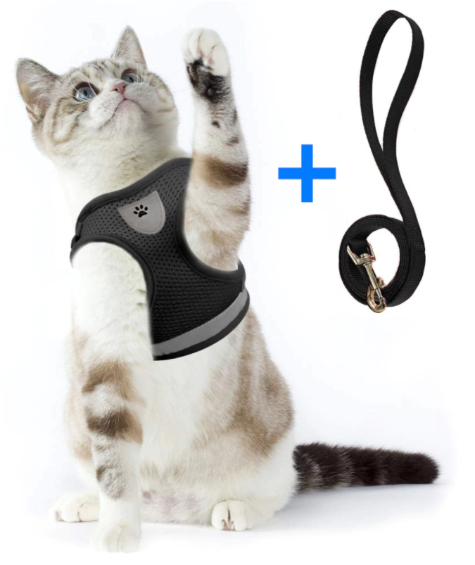 Cat Harness and Leash Set for Outdoor Adventures – Adjustable Comfortable Harness for Safe Walks and Training