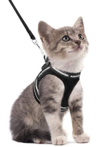 Cat Harness and Leash Set for Outdoor Adventures – Adjustable Comfortable Harness for Safe Walks and Training