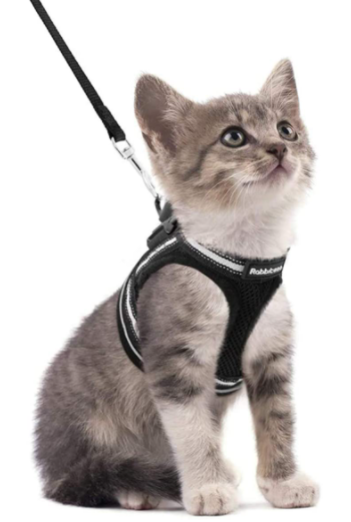 Cat Harness and Leash Set for Outdoor Adventures – Adjustable Comfortable Harness for Safe Walks and Training