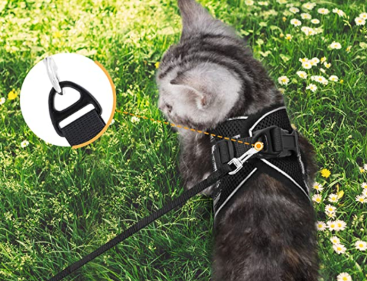 Cat Harness and Leash Set for Outdoor Adventures – Adjustable Comfortable Harness for Safe Walks and Training