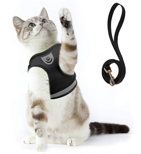 Cat Harness and Leash Set for Outdoor Adventures – Adjustable Comfortable Harness for Safe Walks and Training