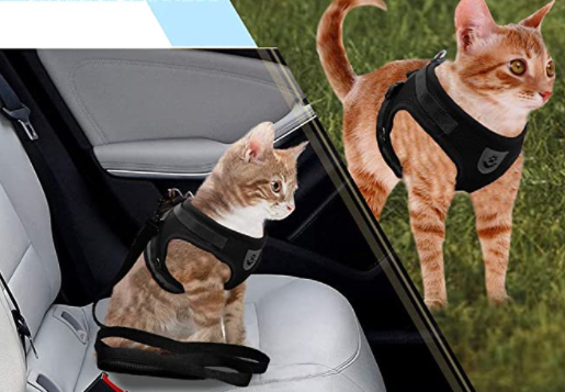 Cat Harness and Leash Set for Outdoor Adventures – Adjustable Comfortable Harness for Safe Walks and Training