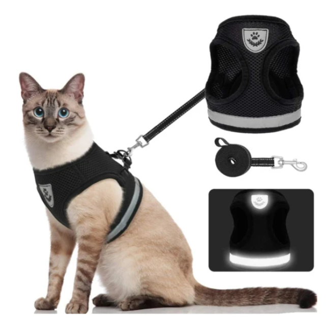 Cat Harness and Leash Set for Outdoor Adventures – Adjustable Comfortable Harness for Safe Walks and Training