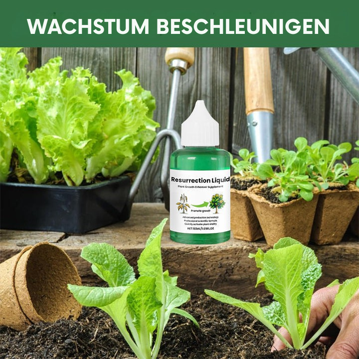 Liquid Plant Fertilizer for Tomato Citrus and Indoor Houseplants with Dropper Bottle - Image 1