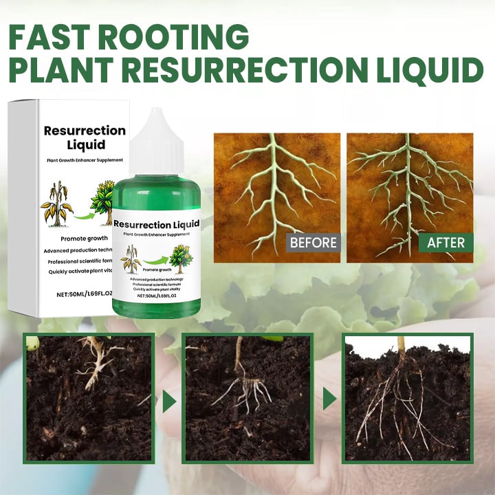 Liquid Plant Fertilizer for Tomato Citrus and Indoor Houseplants with Dropper Bottle - Image 6