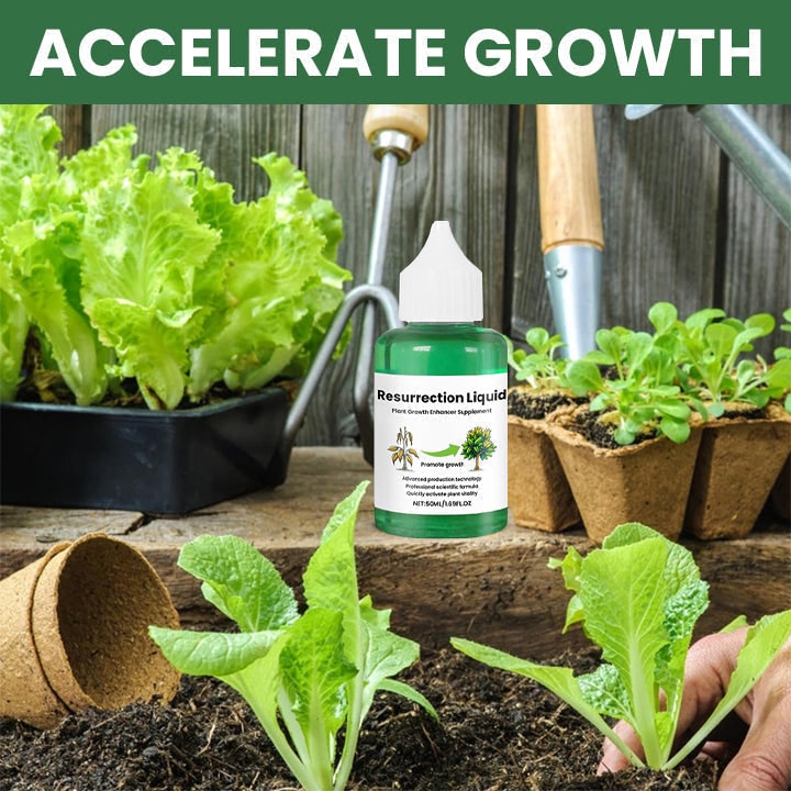 Liquid Plant Fertilizer for Tomato Citrus and Indoor Houseplants with Dropper Bottle - Image 7