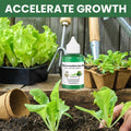 Liquid Plant Fertilizer for Tomato Citrus and Indoor Houseplants with Dropper Bottle - Image 7