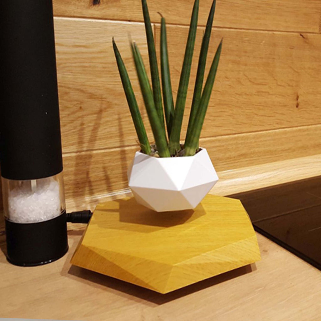 Magnetic Levitation Floating Planter with Geometric Hexagonal Pot and Electromagnetic Base - Image 1