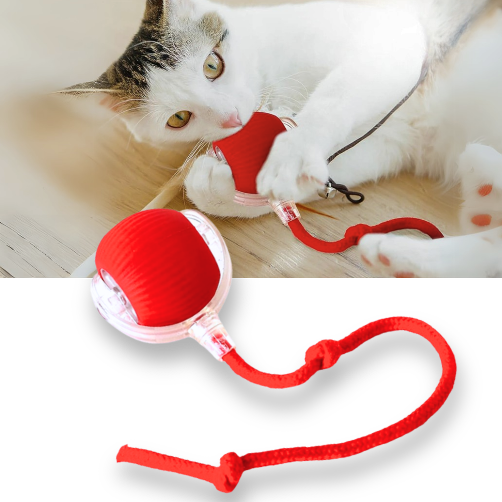 Men's Interactive Cat Toys with Smart Motorized Rolling Ball and Rope Tail - Image 1