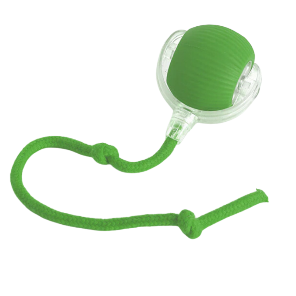Men's Interactive Cat Toys with Smart Motorized Rolling Ball and Rope Tail - Image 11