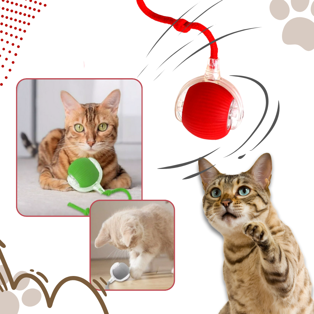 Men's Interactive Cat Toys with Smart Motorized Rolling Ball and Rope Tail - Image 3