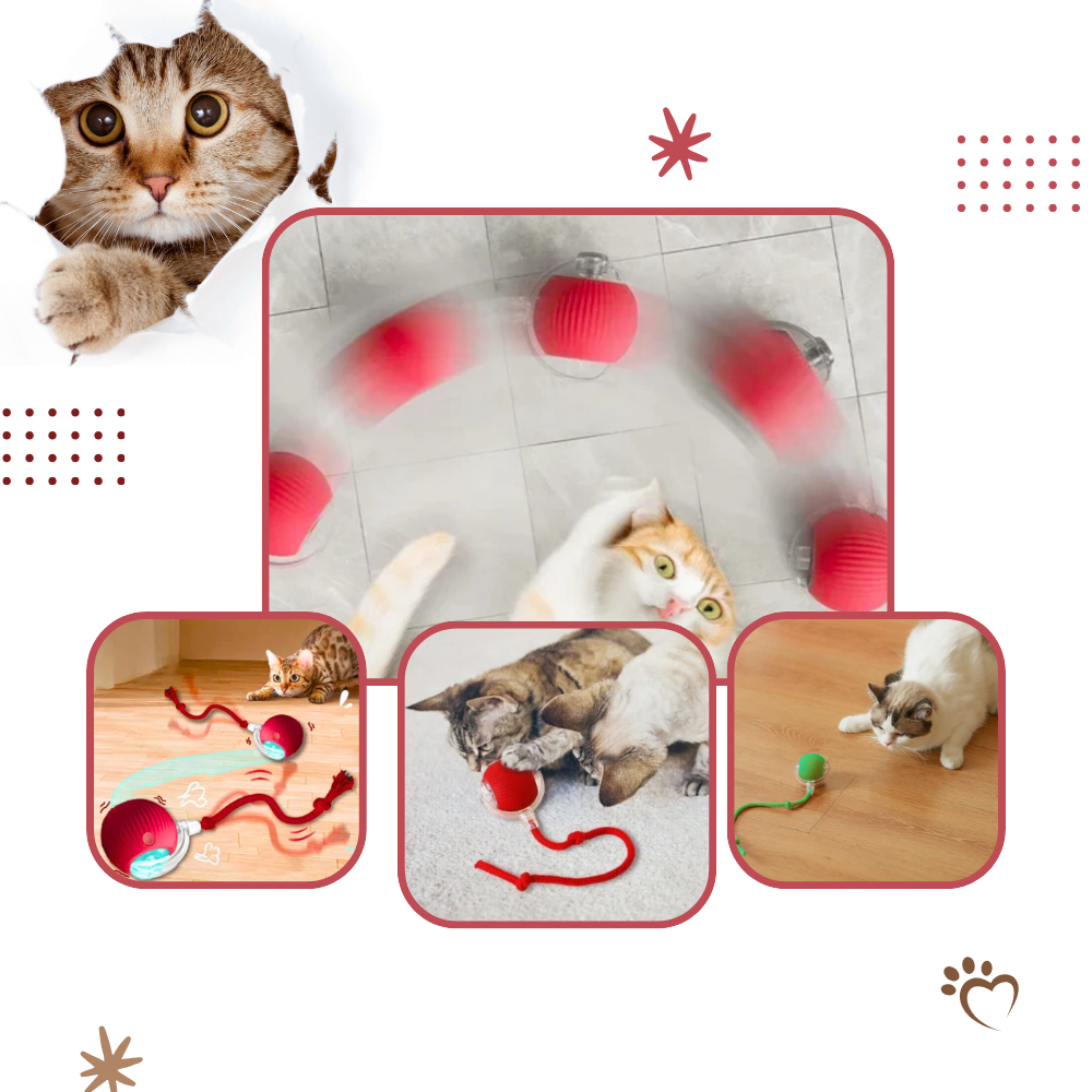 Men's Interactive Cat Toys with Smart Motorized Rolling Ball and Rope Tail - Image 4
