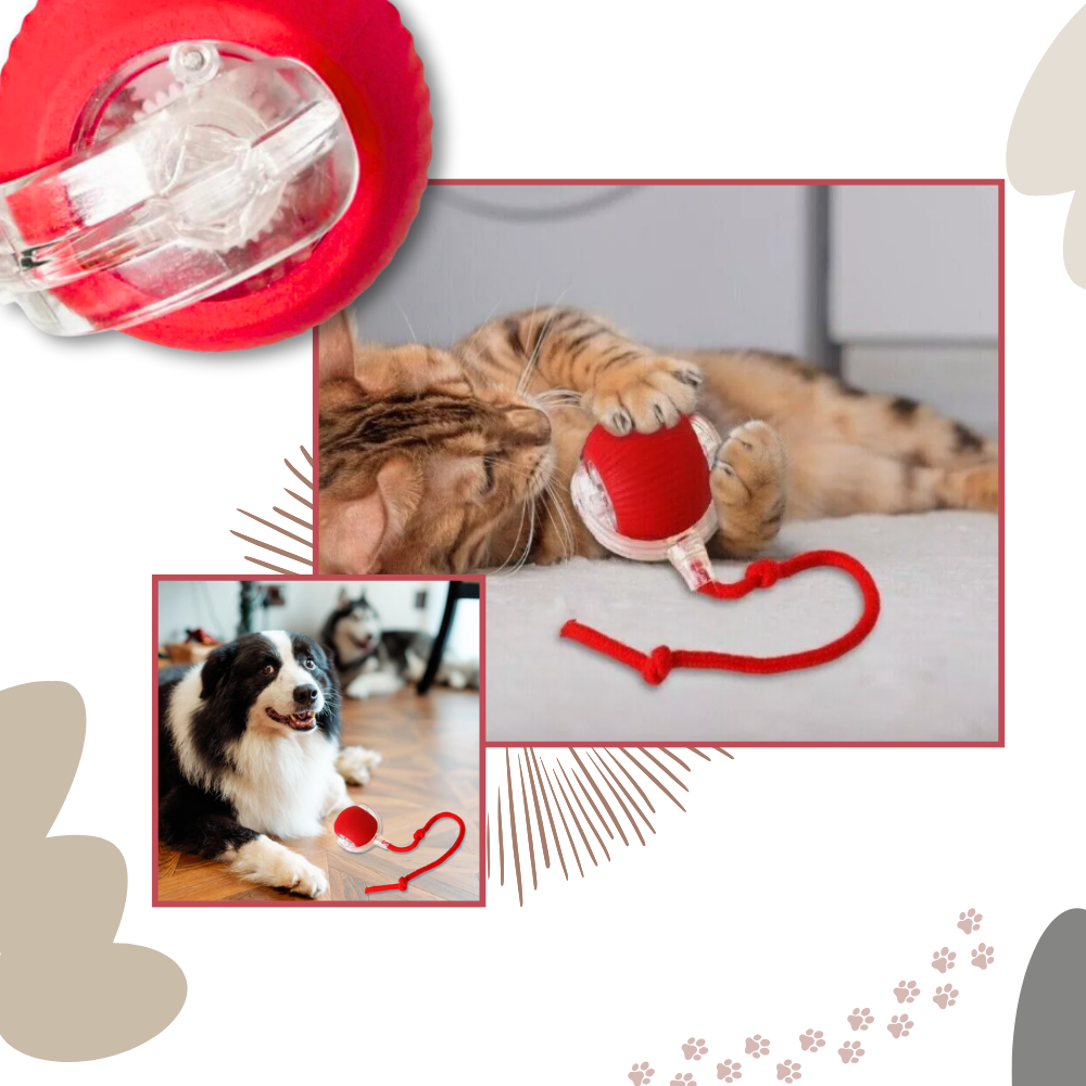 Men's Interactive Cat Toys with Smart Motorized Rolling Ball and Rope Tail - Image 5