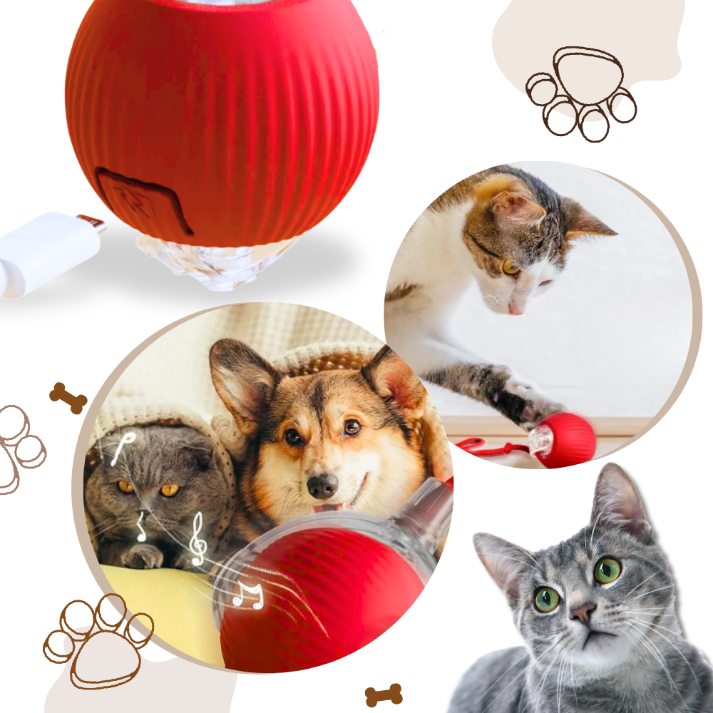 Men's Interactive Cat Toys with Smart Motorized Rolling Ball and Rope Tail - Image 6