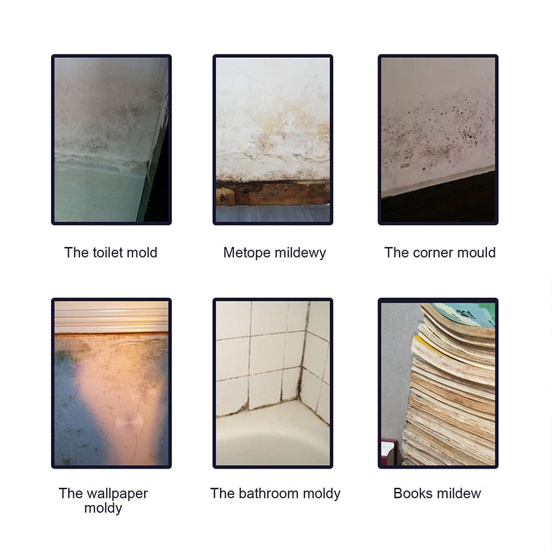Mold and Mildew Remover Professional Stain Spray with Trigger Nozzle - Image 3