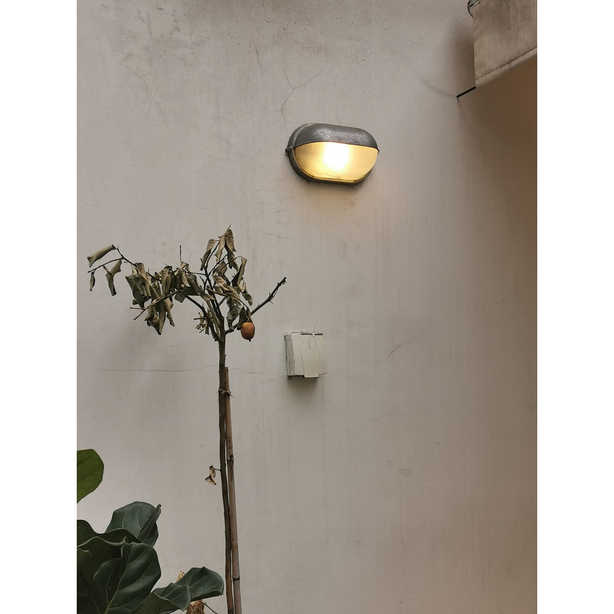 Outdoor Bulkhead Wall Light with Oval Shield and Ribbed Glass Diffuser - Image 17