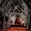 Outdoor Solar String Lights and Fairy with 100 LED Bulbs and Ground Stake for Garden Landscape - Image 1